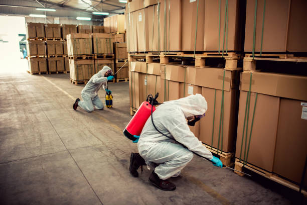 Best Affordable Pest Control Services  in Ivins, UT