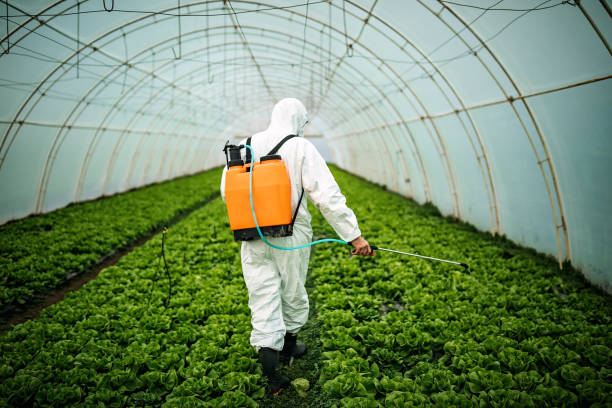 Best Affordable Pest Control Services  in Ivins, UT