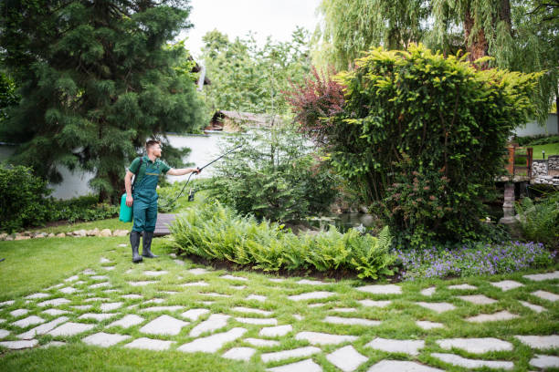 Best Local Pest Control Services  in Ivins, UT