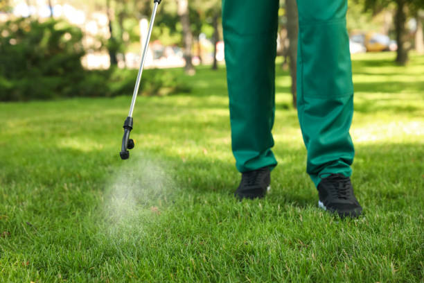 Trusted Ivins, UT Pest Control Experts