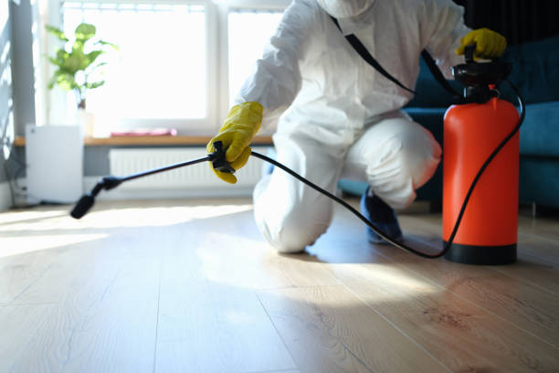 Best Pest Removal Services  in Ivins, UT