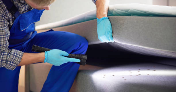 Best Bed Bug Extermination  in Ivins, UT